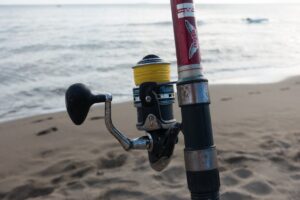 Spinning Reels