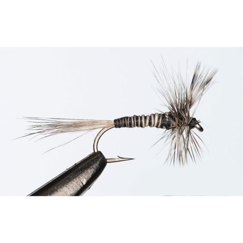 Scientific Flies Mosquito