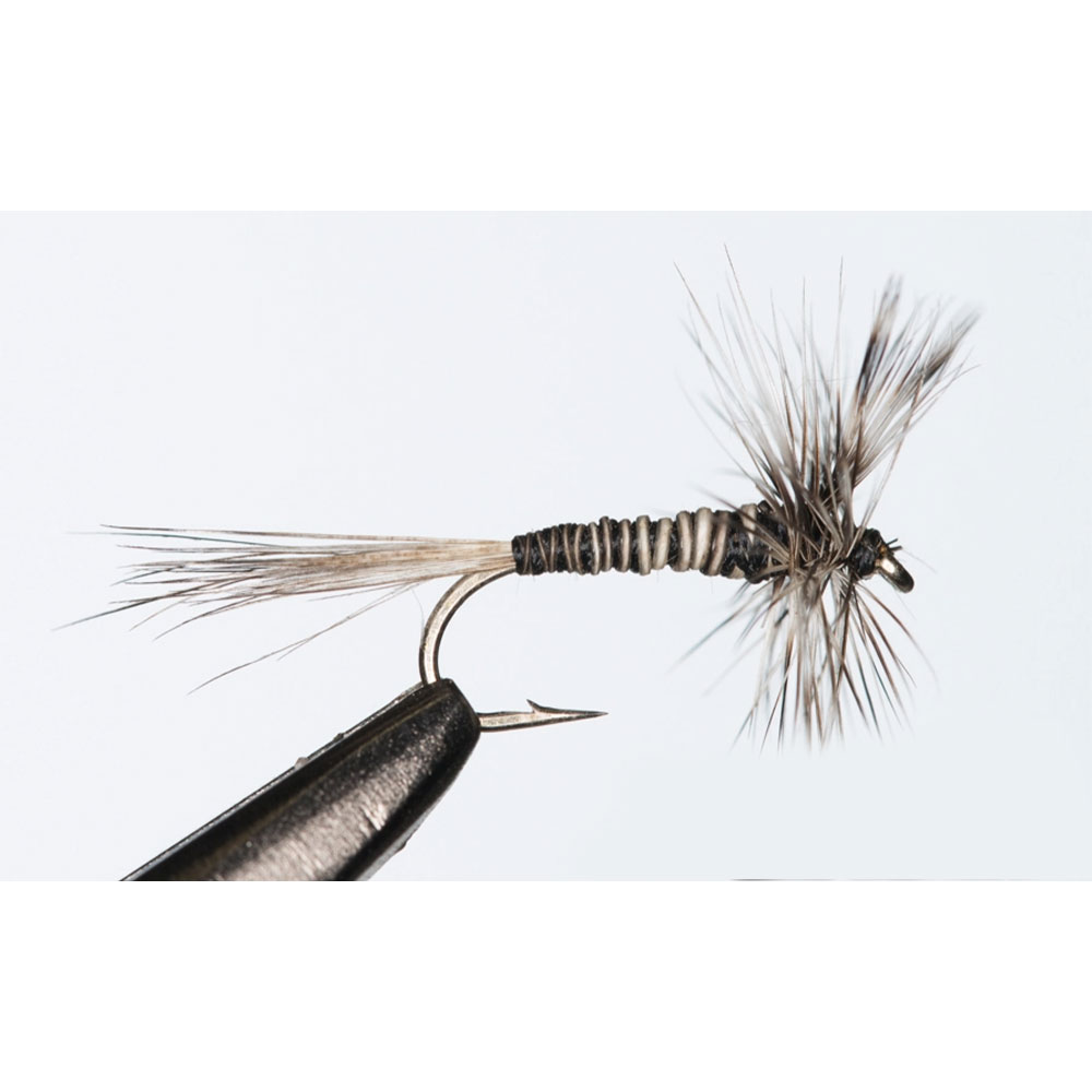 Scientific Flies Mosquito