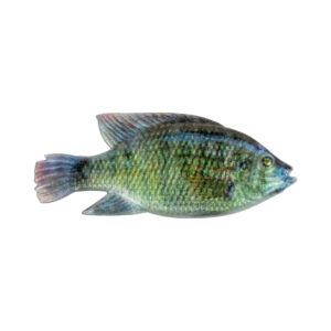 Cullem Pro Kurper 4"